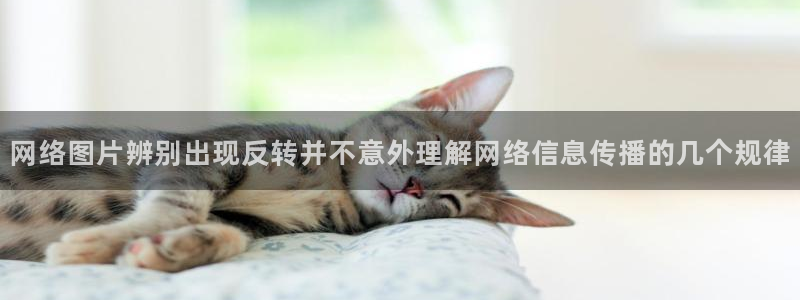 网络黑料最新消息