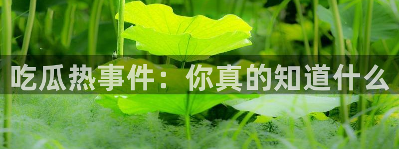 网络黑料原始来源