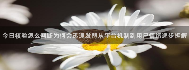 黑料爆料证据梳理