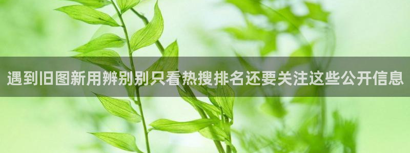 职场黑料信息汇总
