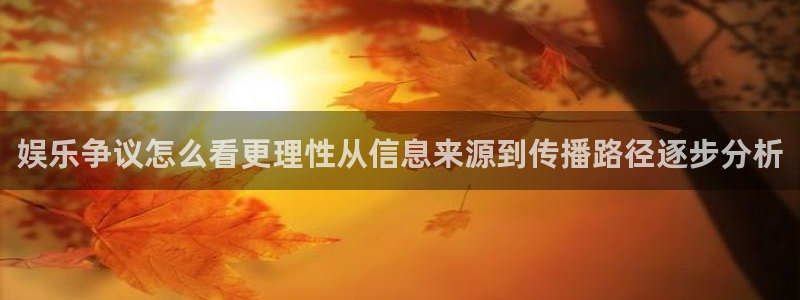 娱乐黑料后续进展