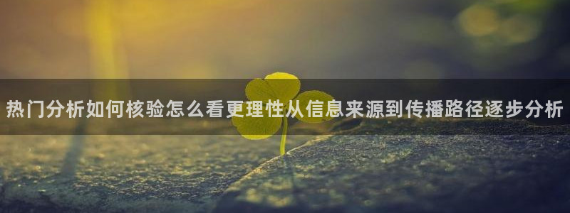 黑料爆料后续进展