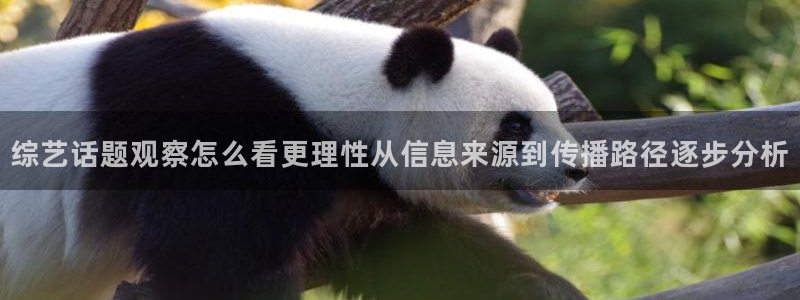 黑料吃瓜完整时间线