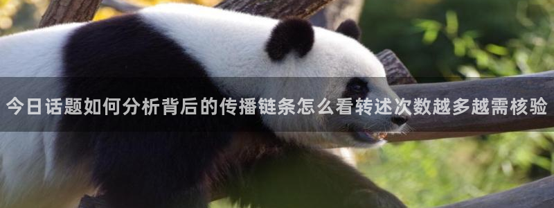 网络黑料今日更新