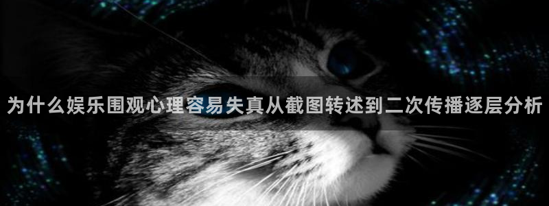 网红黑料证据梳理