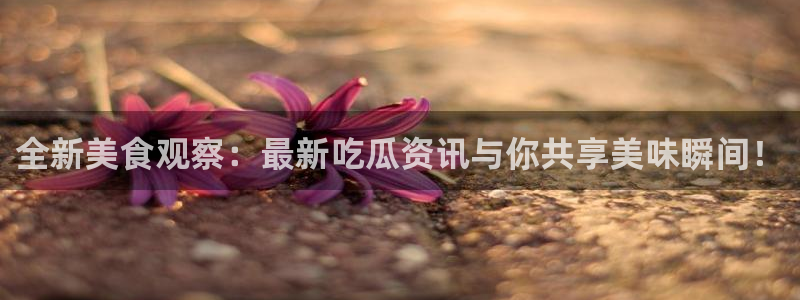 热门黑料证据梳理