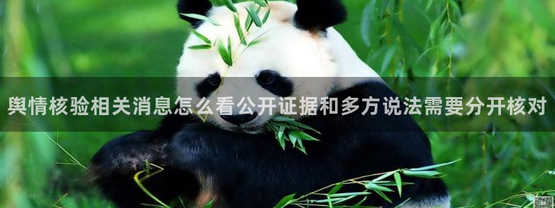 网红黑料完整时间线